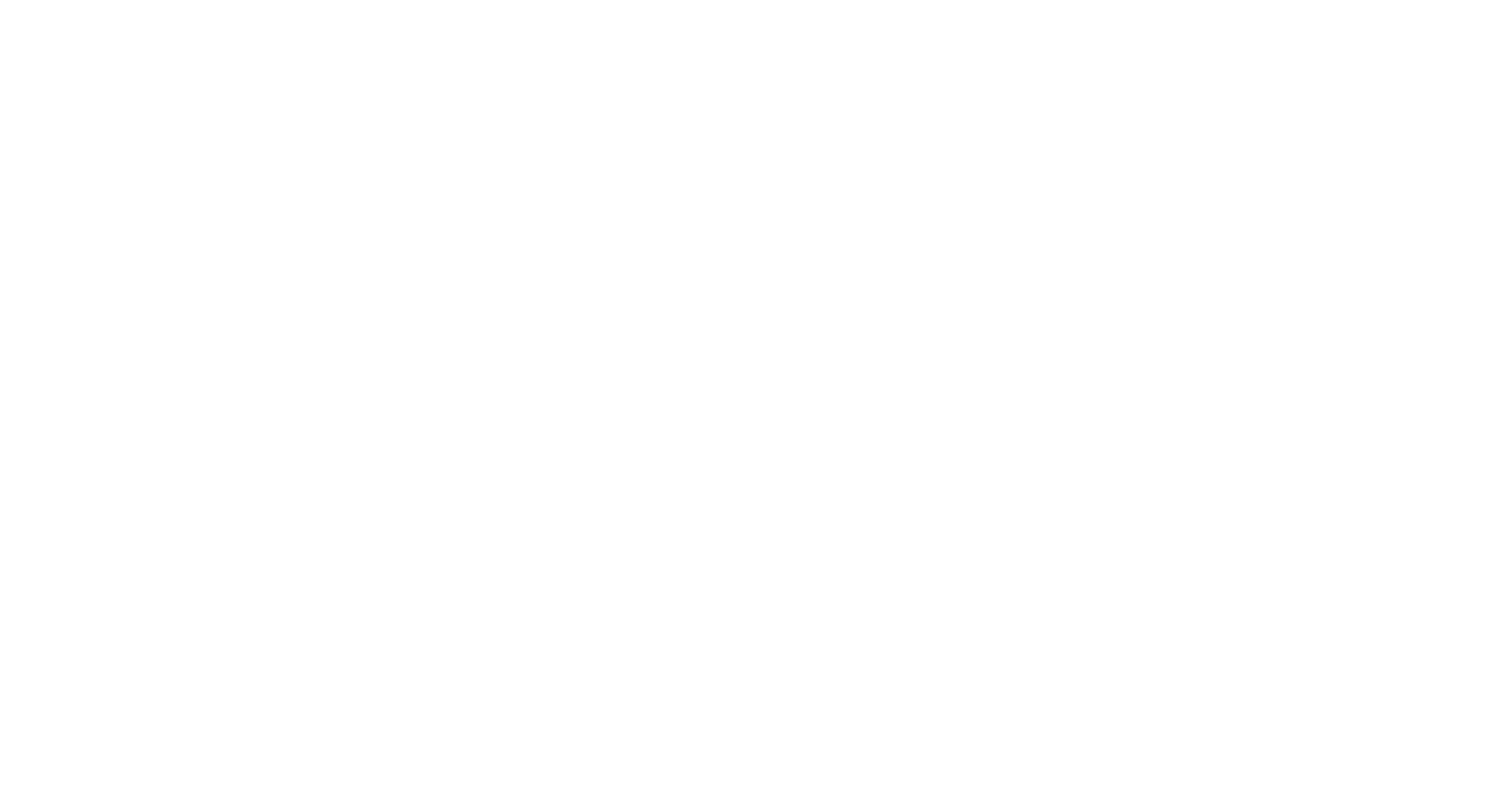 Stockholm Open Logo